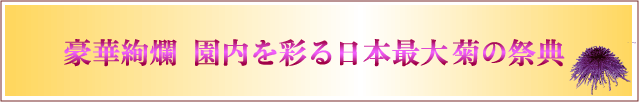 ؈ࣁ@ʂ{őe̍ՓT