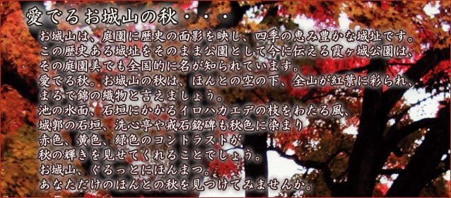 ł邨ȐH