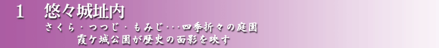 IX隬BEE݂EEElG܁X̒뉀@Pj̖ʉef