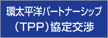 環太平洋パートナーシップ（TPP）協定交渉